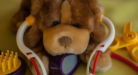mutuelle animaux sans carence
