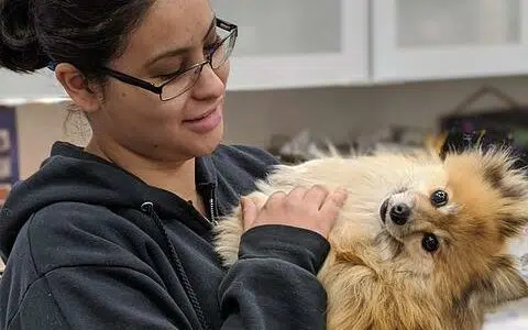 auteur transpoil auteure transpoil