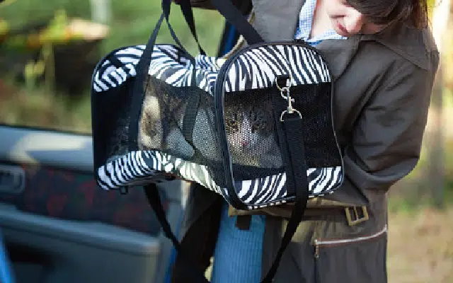 sac de transport pour chat