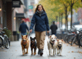 Femme souriante promenant quatre chiens en ville